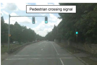 photo of pedestrian crossing signal